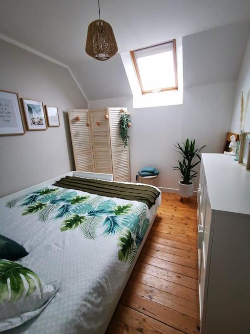 Guest House 60M2 Tout Confort 厄尔奇 外观 照片